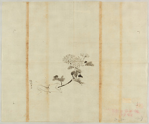 探幽／陶淵明菊図 