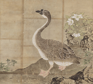 辺景昭／白薔薇ニ鵞図