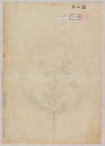 檀芝瑞／竹図 