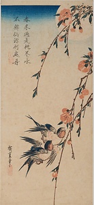 月下桃花に燕