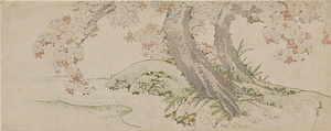八重桜に流水