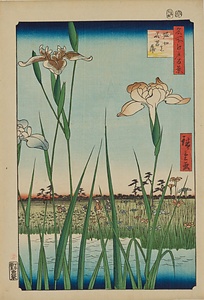 名所江戸百景・堀切の花菖蒲