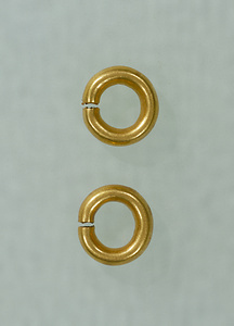 金環