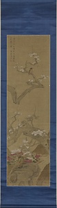 紅蓮綺石・野梅山茶図軸