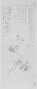 桜桃図