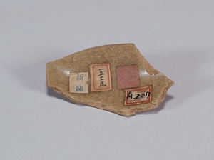 南宋官窯址採集陶片（郊壇下） なんそうかんようしさいしゅうとうへん　こうだんか