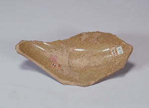 南宋官窯址採集陶片（郊壇下） なんそうかんようしさいしゅうとうへん　こうだんか