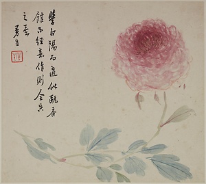 雑画冊 ざつがさつ