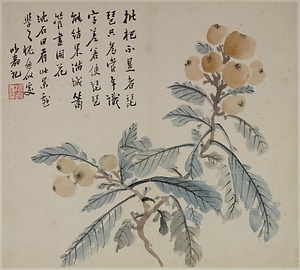 雑画冊 ざつがさつ