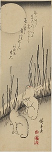 月下木賊に兎
