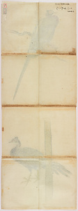 探幽／青鸞図 