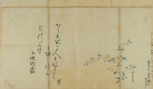 探幽／山吹図