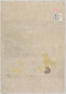 毛益／麝香猫犬図 