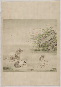 毛益／麝香猫犬図 