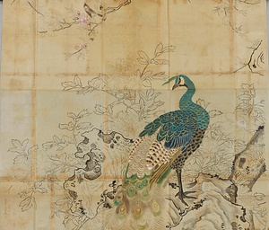 呂紀／牡丹ニ孔雀図 