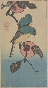 柿に目白