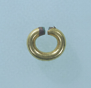 金環
