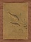 藻魚図軸