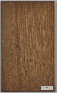 草書尺牘冊