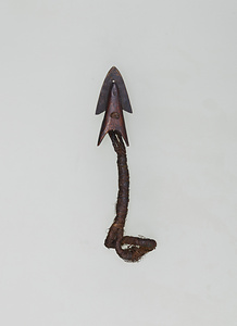銛頭