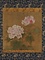紅白芙蓉図