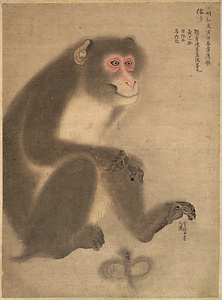 写生帖 