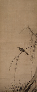 柳小禽図