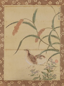 正祐／粟鶉図