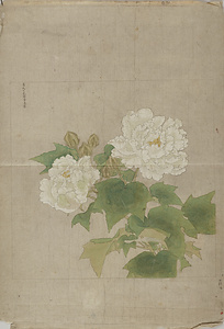 李迪／白芙蓉図