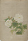 李迪／白芙蓉図