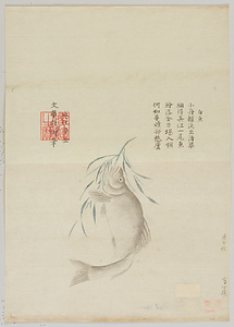 文華殿／鱸図
