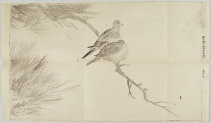 鳩図