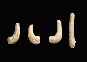 釣針残欠