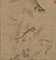 藻魚図軸