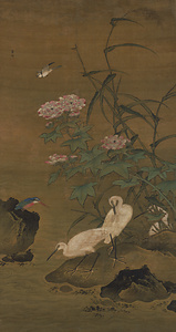 白鷺芙蓉図軸