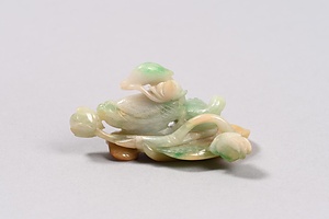 翡翠鴛鴦