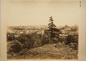 東京景