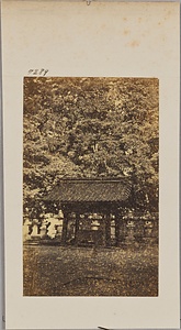 増上寺