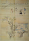 長崎図（模本）