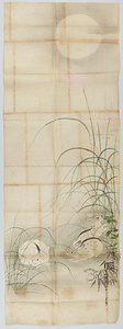 探幽／薄ニ兎図