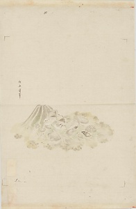探幽／黄蜀葵 鉄線花 蓮葉ニ貝図 