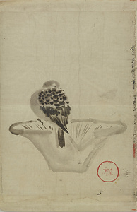 探幽／鳩図