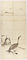 牧渓／達磨　芦雁図