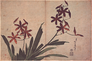 桧扇