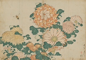 菊花に虻
