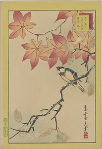 生写四十八鷹・四十から　一行寺の紅葉　帰咲の桜