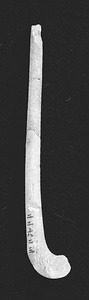 釣針残欠