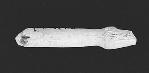 釣針残欠