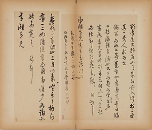 草書尺牘合冊 そうしょせきとくがっさつ