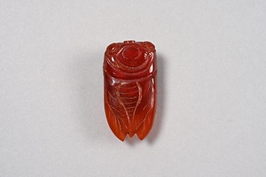 蝉形琥珀合子